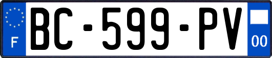 BC-599-PV