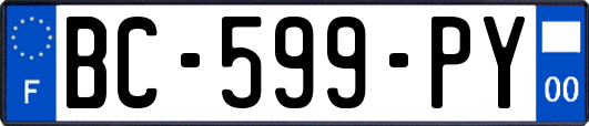 BC-599-PY