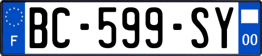 BC-599-SY