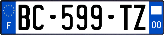 BC-599-TZ