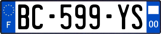 BC-599-YS