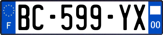 BC-599-YX