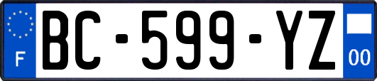 BC-599-YZ