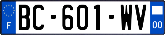 BC-601-WV