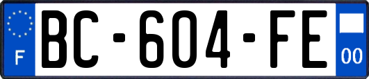BC-604-FE