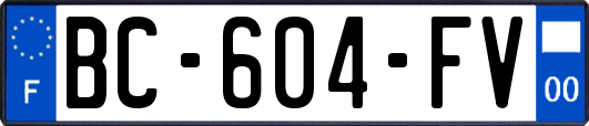 BC-604-FV