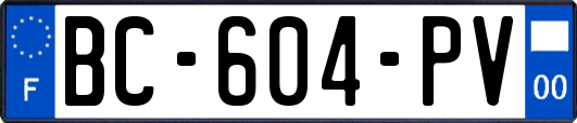 BC-604-PV