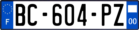 BC-604-PZ