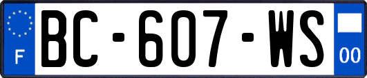 BC-607-WS