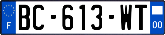 BC-613-WT