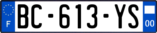 BC-613-YS