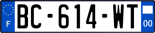 BC-614-WT