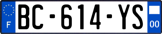 BC-614-YS