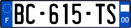 BC-615-TS