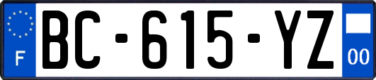 BC-615-YZ