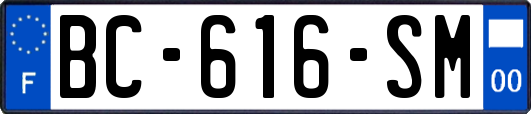 BC-616-SM