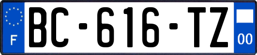 BC-616-TZ