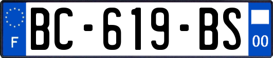 BC-619-BS