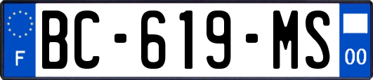BC-619-MS