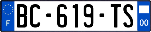 BC-619-TS