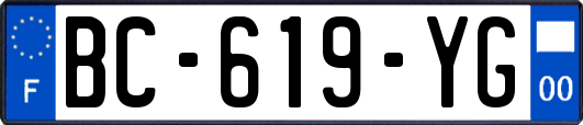 BC-619-YG