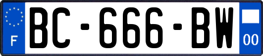 BC-666-BW