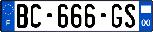 BC-666-GS