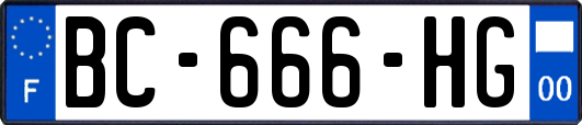 BC-666-HG