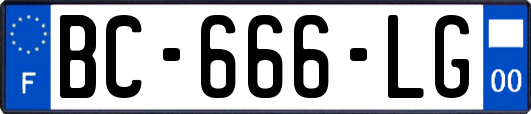 BC-666-LG