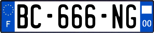 BC-666-NG