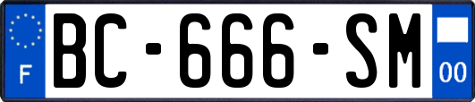BC-666-SM