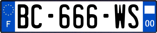 BC-666-WS