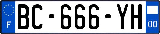 BC-666-YH