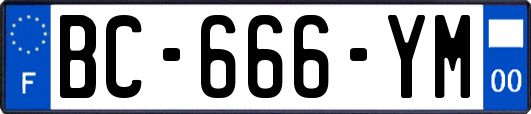 BC-666-YM
