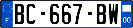 BC-667-BW