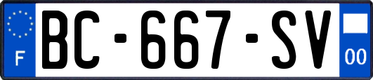 BC-667-SV