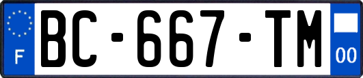 BC-667-TM