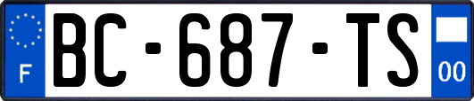 BC-687-TS