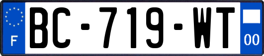 BC-719-WT