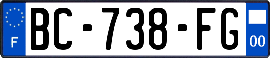 BC-738-FG