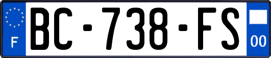 BC-738-FS