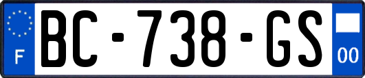 BC-738-GS