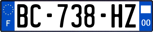 BC-738-HZ