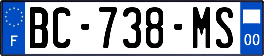 BC-738-MS
