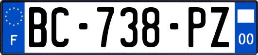 BC-738-PZ