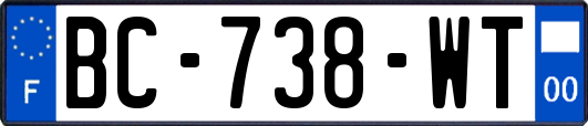 BC-738-WT