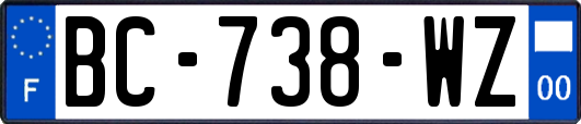 BC-738-WZ