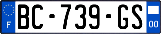BC-739-GS