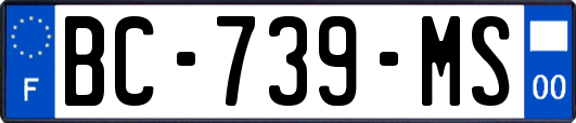 BC-739-MS