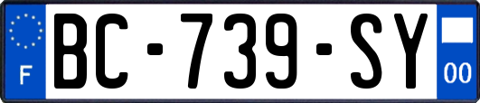 BC-739-SY